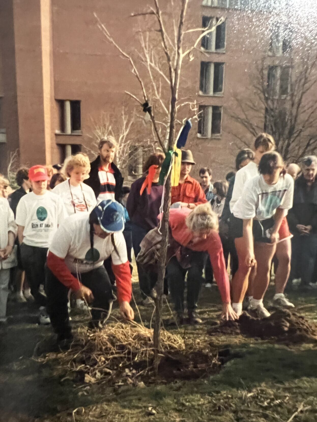 The Council Oak tree at UW-Eau Claire